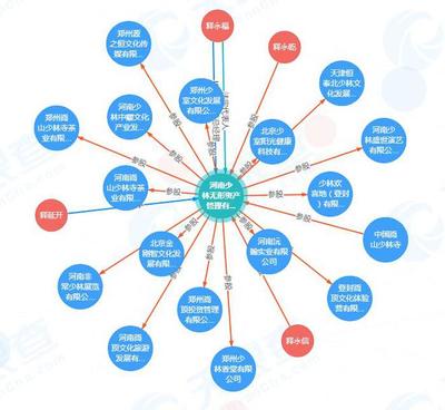 少林寺進軍房地產 無形資產對外投資16家公司的戰略布局與管理