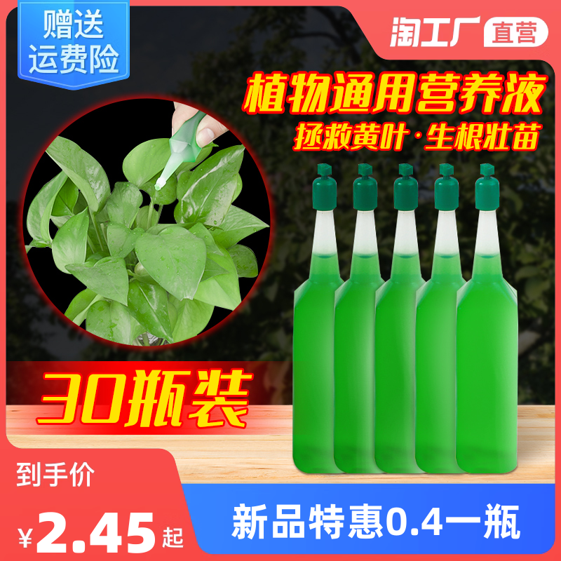 花卉網(wǎng)購熱潮 現(xiàn)代生活的新寵與消費(fèi)趨勢(shì)解析